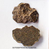 Amgala 001 - Martian Shergottite (Olivine-Phyric) - 6 g - Western Sahara