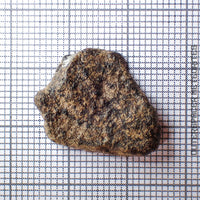 Amgala 001 - Martian Shergottite (Olivine-Phyric) - 2.37g - Western Sahara