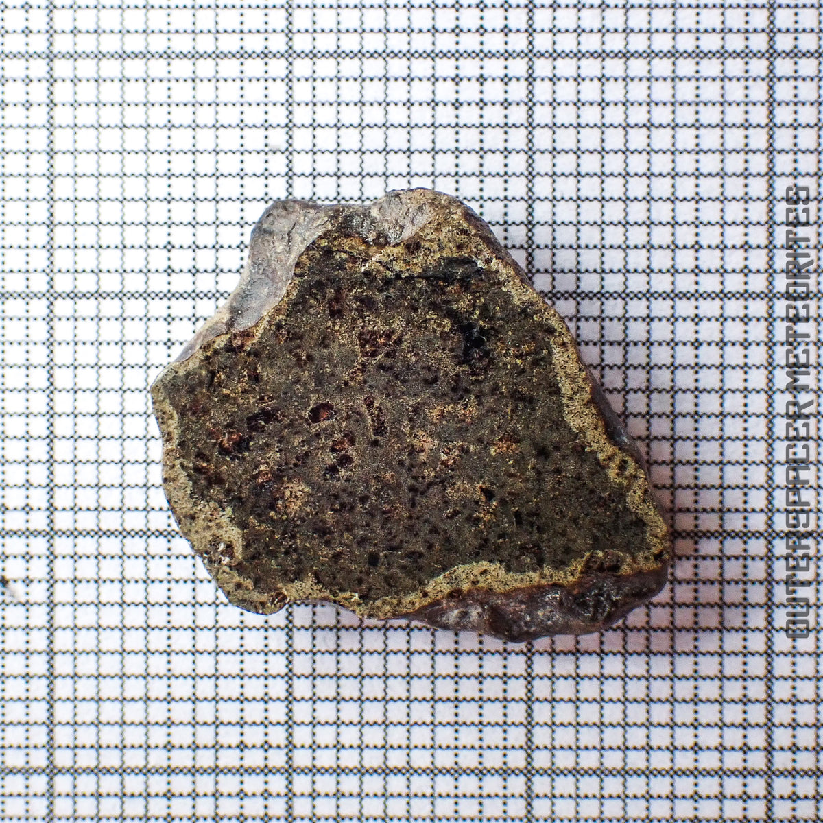 Amgala 001 - Martian Shergottite (Olivine-Phyric) - 2.37g - Western Sahara