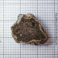 Amgala 001 - Martian Shergottite (Olivine-Phyric) - 2.37g - Western Sahara