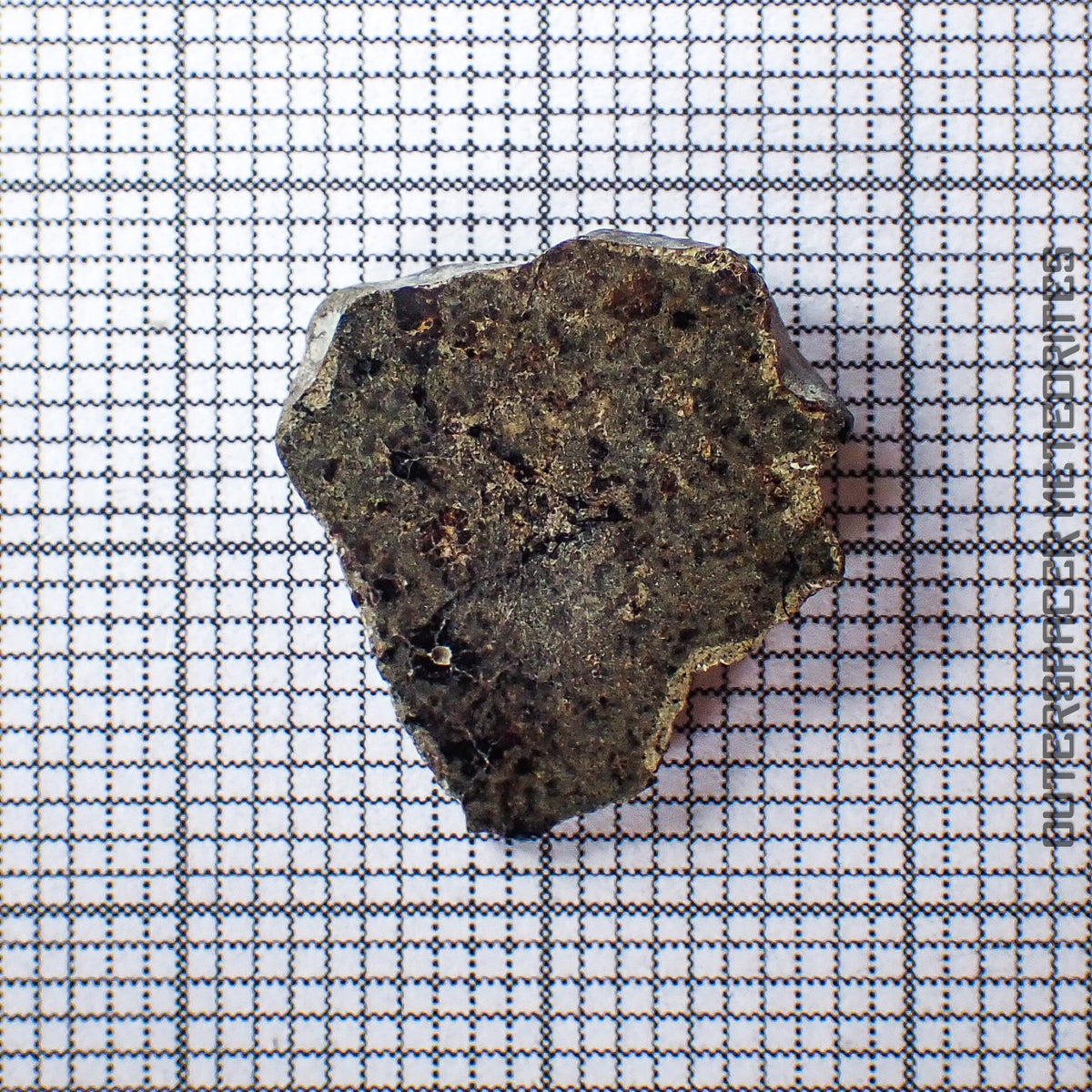 Amgala 001 - Shergottita Marciana (Olivino-Fírica) - 1.34g - Sáhara Occidental