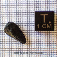 Atacamaite - Impactite/Tektoid - Complete Individual - 0.81g - Chile (Atacama)