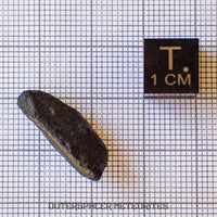 Atacamaite - Impactite/Tektoid - Complete Individual - 1.68g - Chile (Atacama)