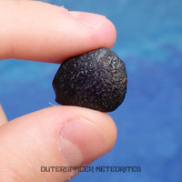 Australite - Tektite - Complete Individual - 4.16g - Australia (Charlotte Waters, SA)