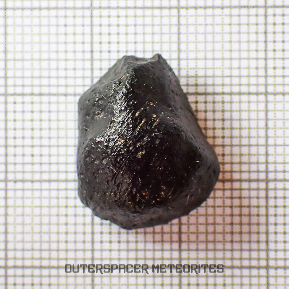 Australite - Tektite - Complete Individual - 4.16g - Australia (Charlotte Waters, SA)