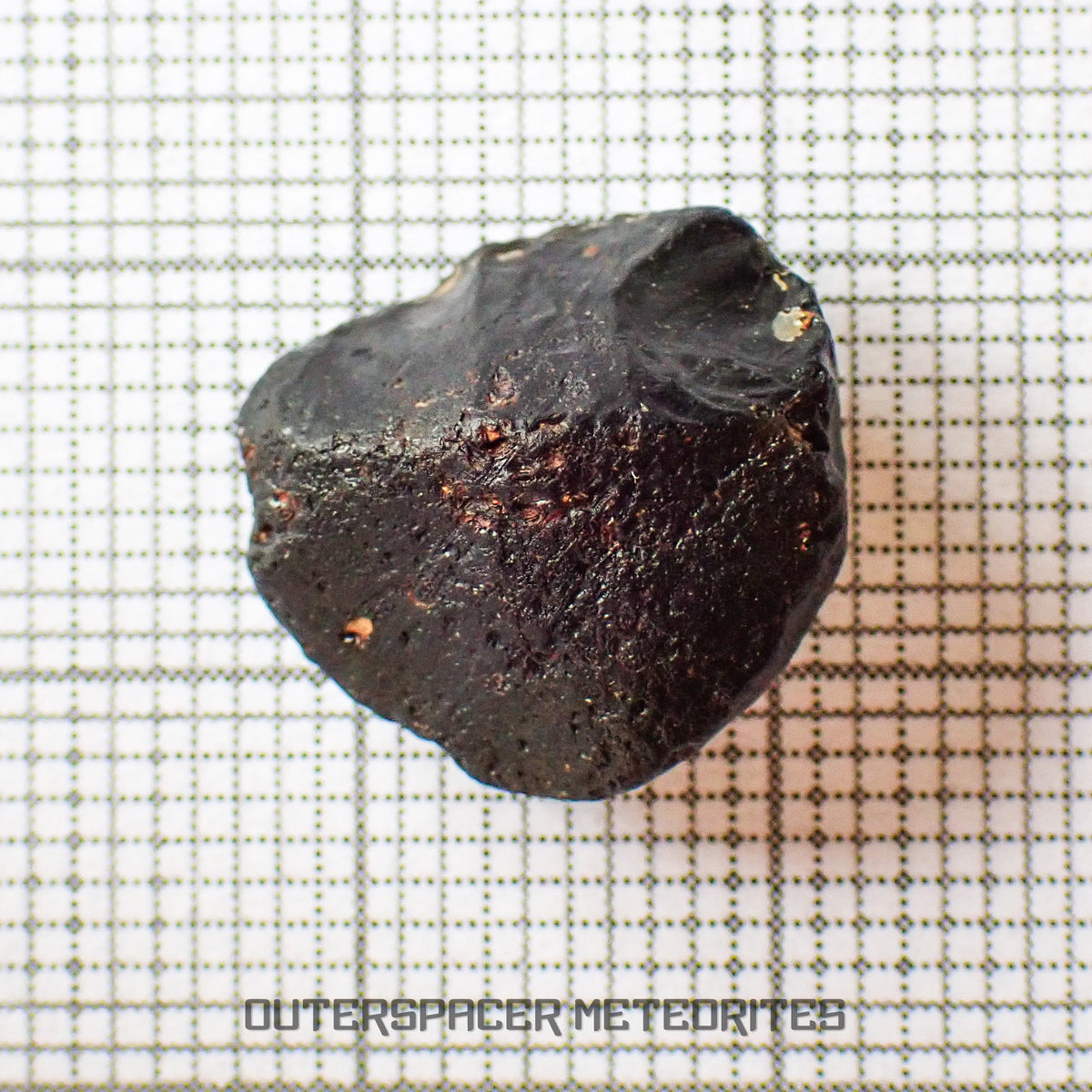 Australite - Tektite - Complete Individual - 1.62g - Australia (Charlotte Waters, SA)