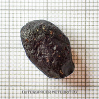 Australite - Tektite - Complete Individual - 1.94g - Australia (Charlotte Waters, SA)