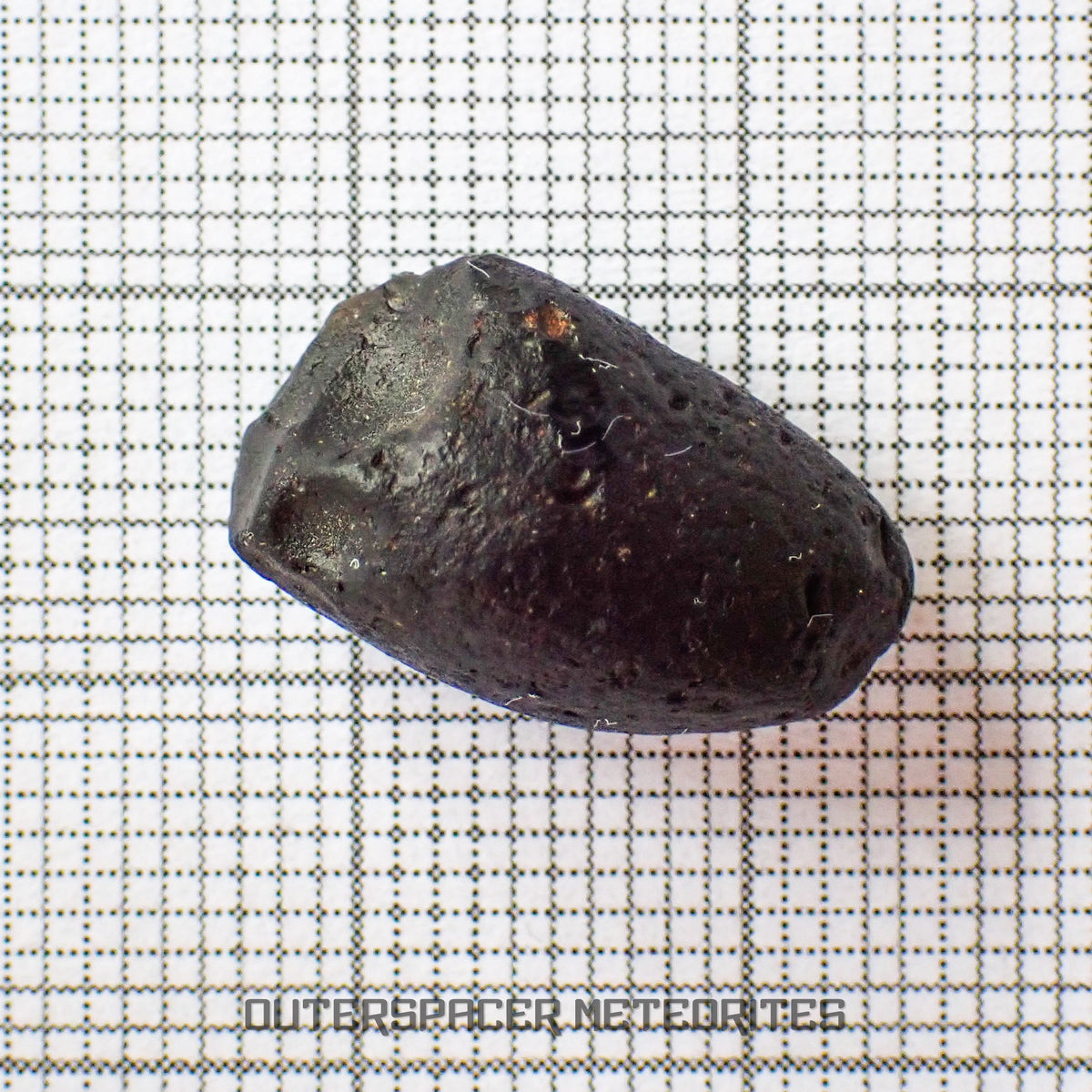 Australite - Tektite - Complete Individual - 2g - Australia (Charlotte Waters, SA)