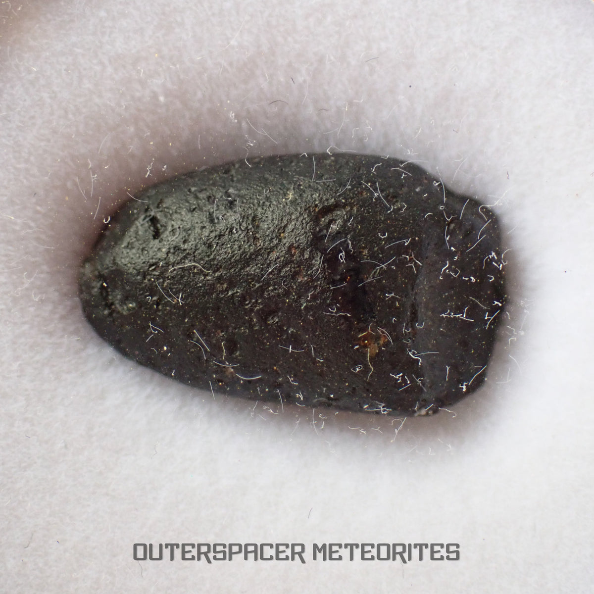 Australite - Tektite - Complete Individual - 2g - Australia (Charlotte Waters, SA)