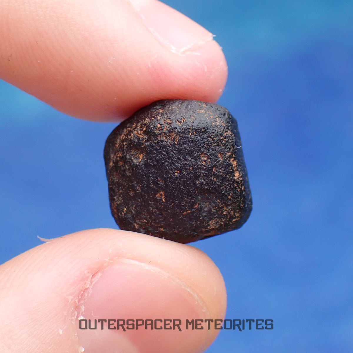 Australite - Tektite - Complete Individual - 3.43g - Australia (Charlotte Waters, SA)