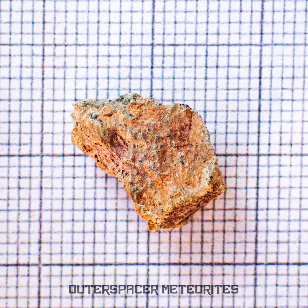 Béchar 003 - Brèche feldspathique lunaire - Fragment - 1,32 g - Algérie