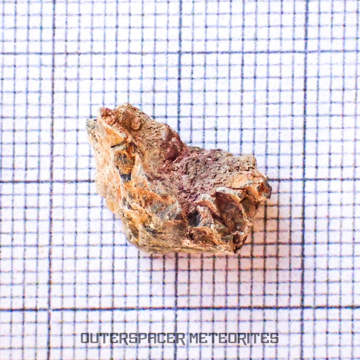 Bechar 003 - Lunar Feldspathic Breccia - Fragment - 1.32g - Algeria