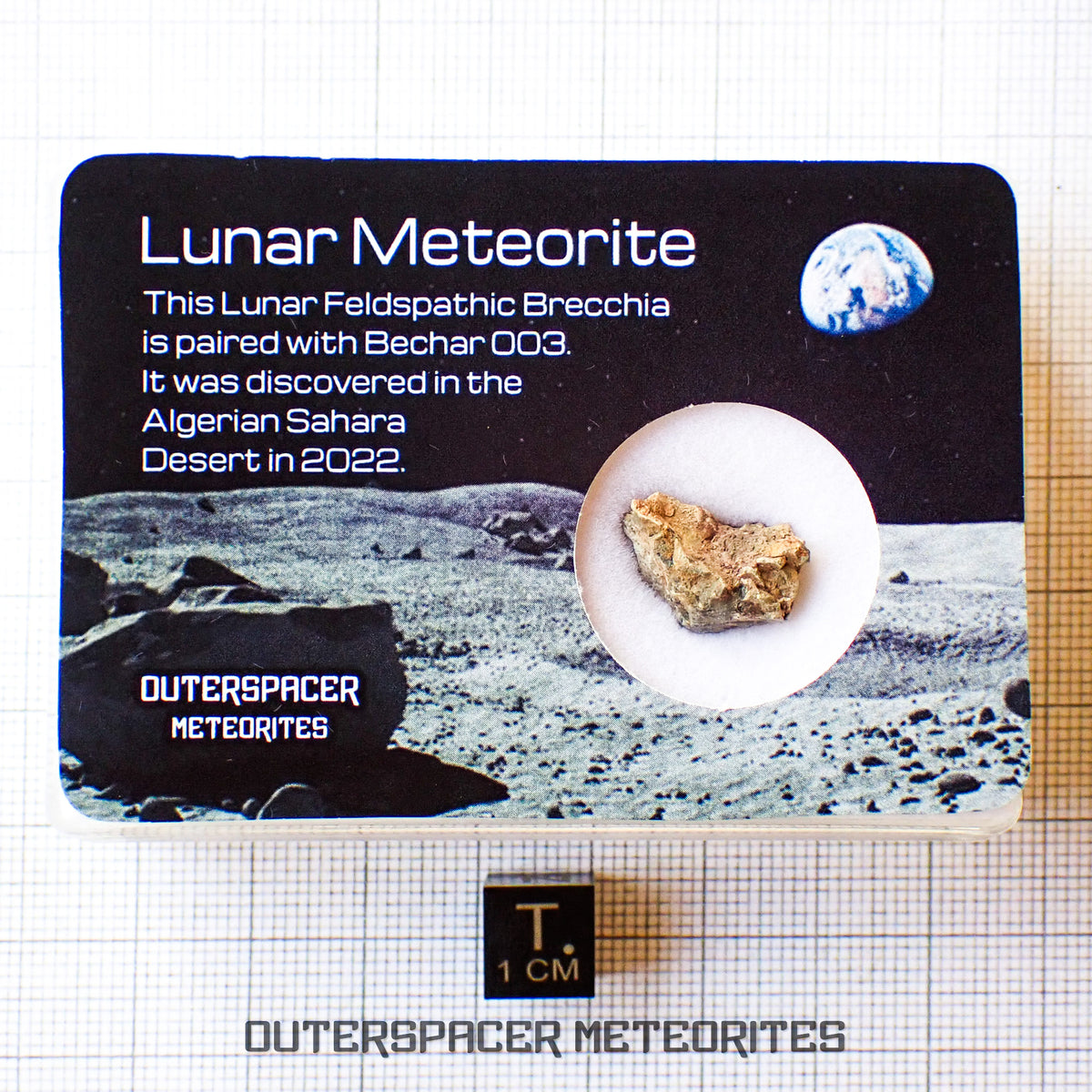 Béchar 003 - Brèche feldspathique lunaire - Fragment - 1,32 g - Algérie