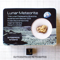 Bechar 003 - Brecha feldespática lunar - Fragmento - 1,88 g - Argelia