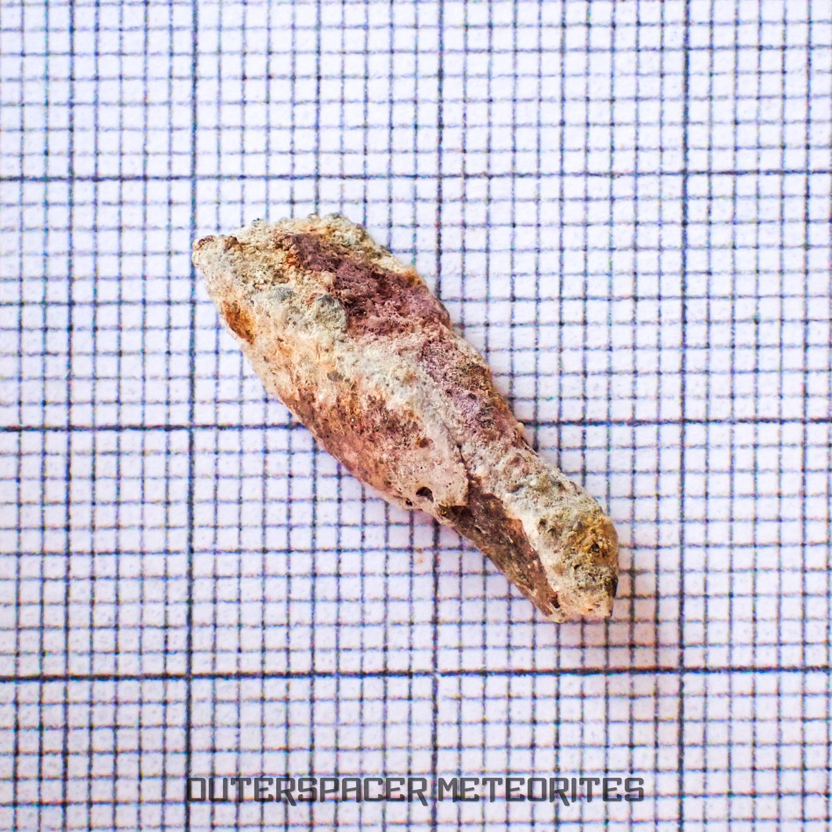 Bechar 003 - Brecha Feldspática Lunar - Fragmento - 1.19g - Argelia