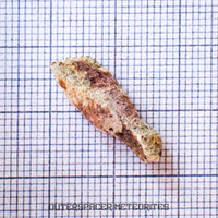 Bechar 003 - Brecha Feldspática Lunar - Fragmento - 1.19g - Argelia