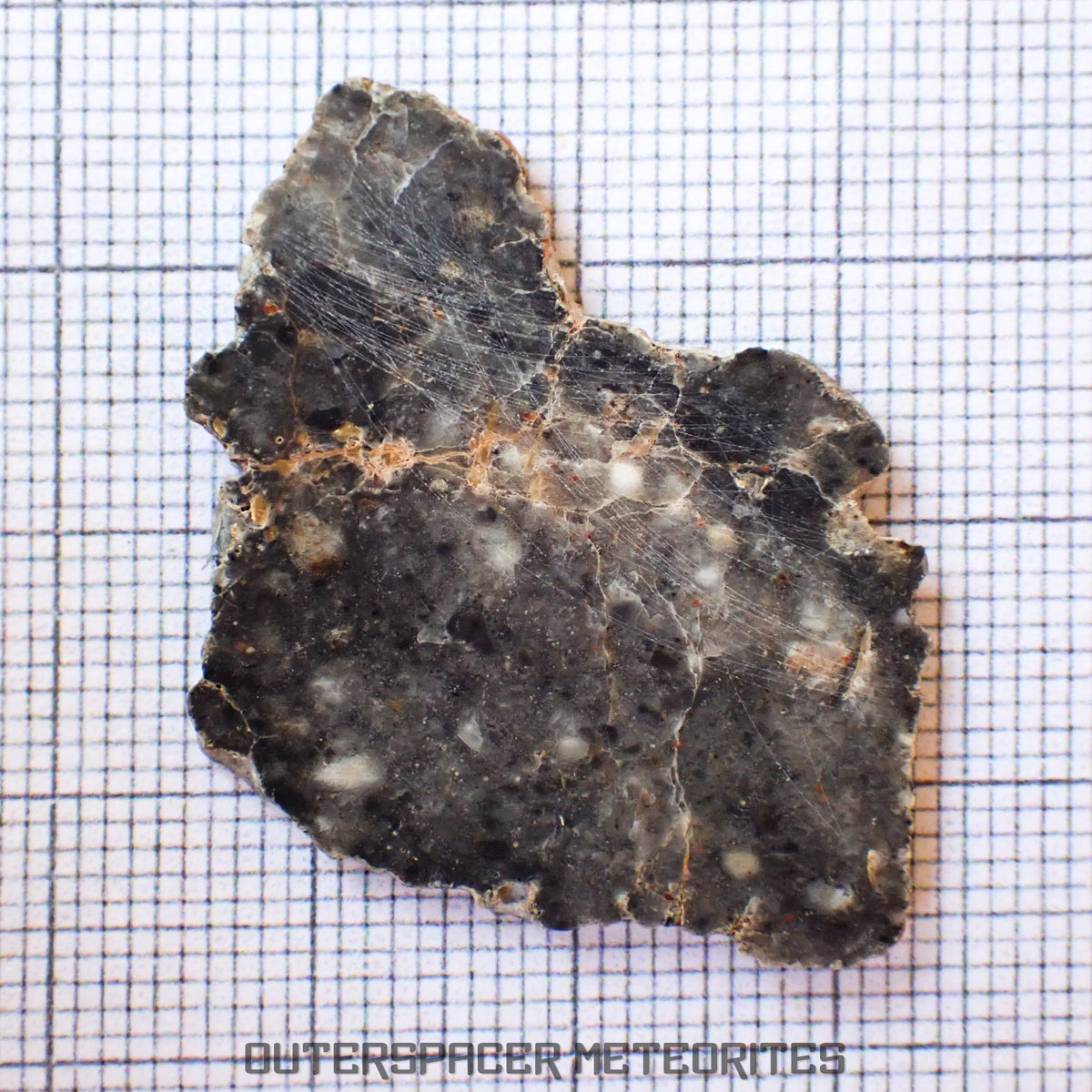Bechar 003 - Lunar Feldspathic Breccia - Slice - 2.99g - Algeria