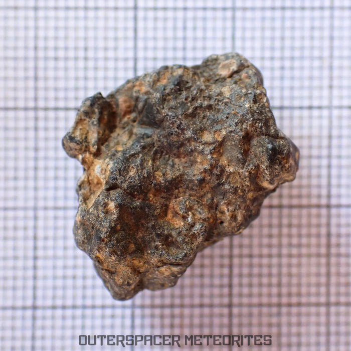 Bechar 003 - Lunar Feldspathic Breccia - End Cut - 7.65g - Algeria