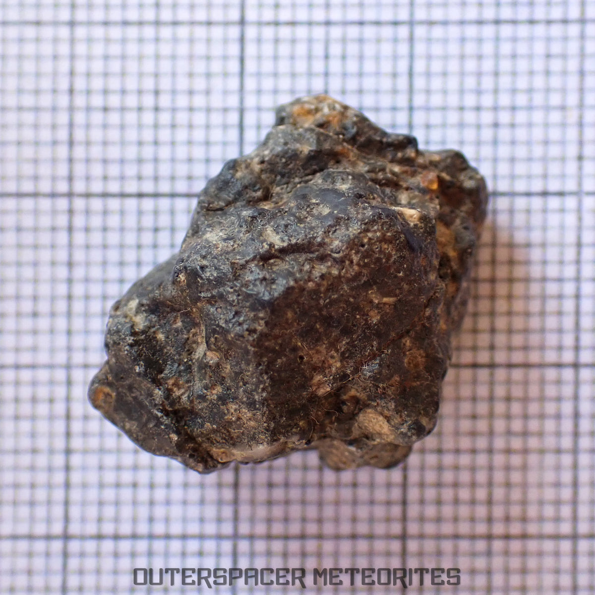 Bechar 003 - Lunar Feldspathic Breccia - End Cut - 7.65g - Algeria