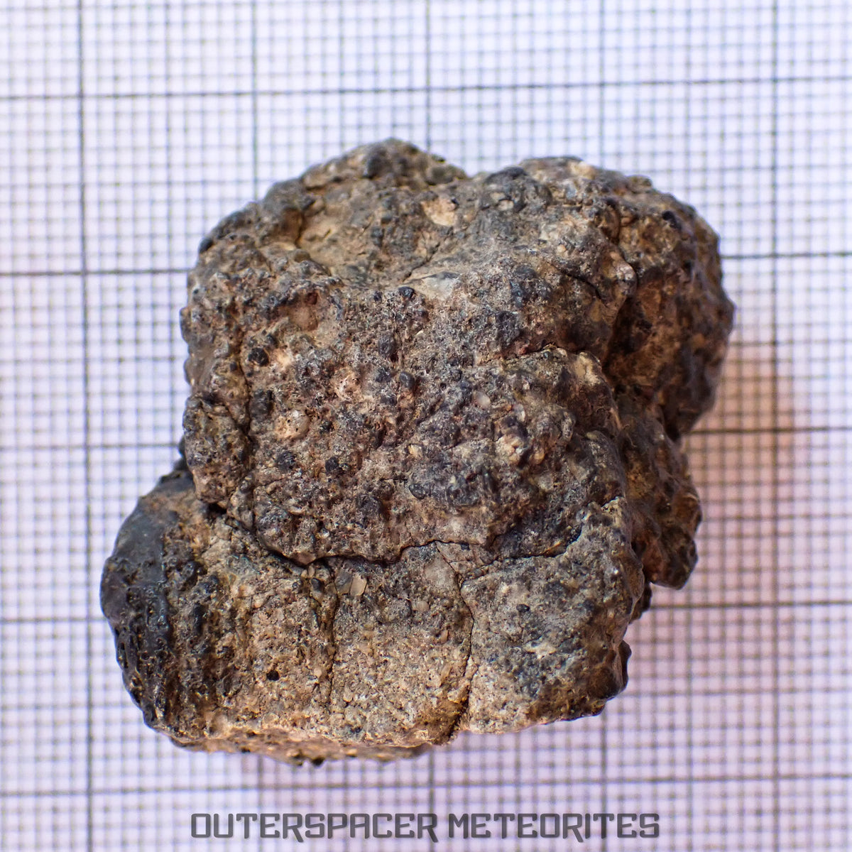 Bechar 003 - Lunar Feldspathic Breccia - End Cut - 27.63g - Algeria