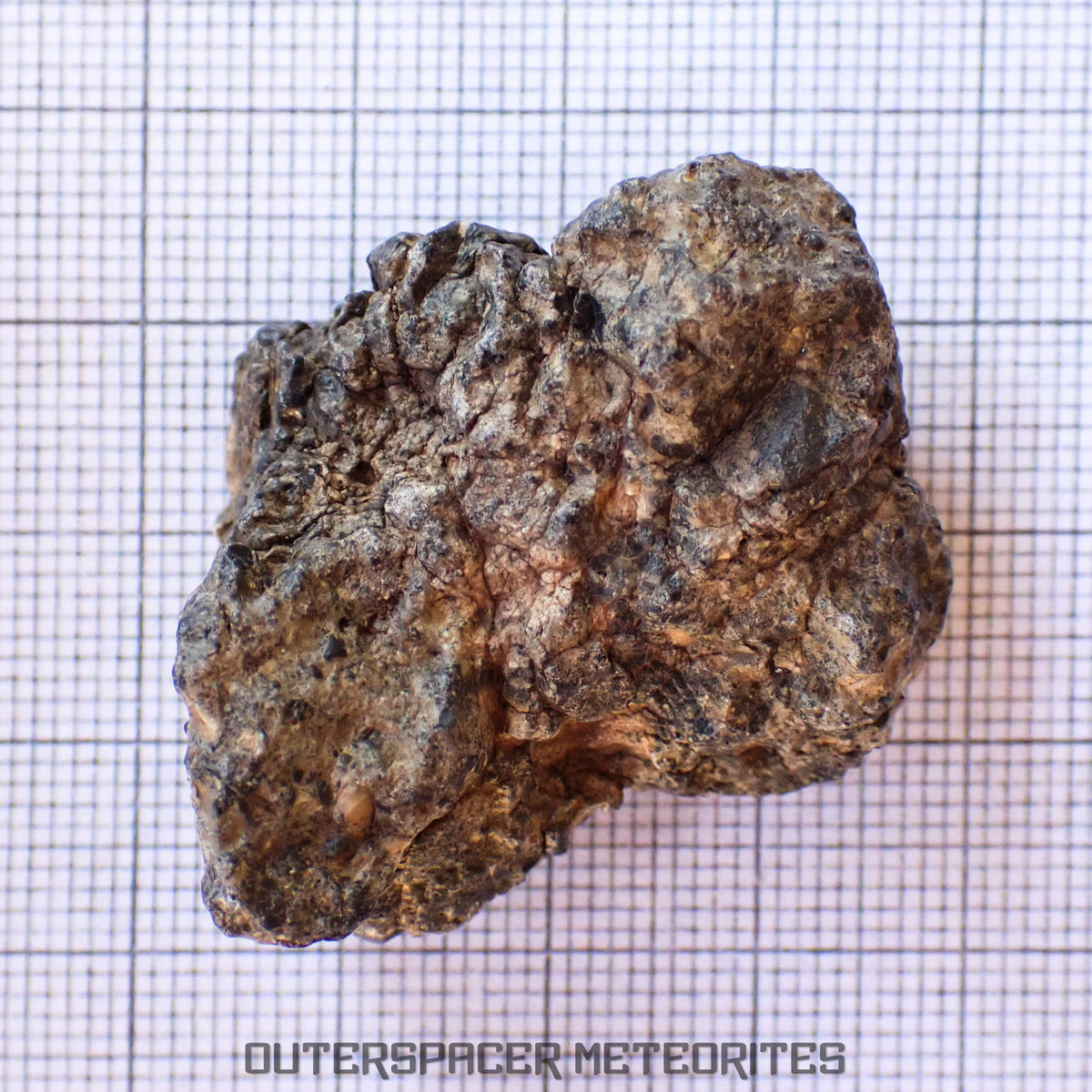 Bechar 003 - Lunar Feldspathic Breccia - End Cut - 27.63g - Algeria
