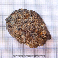 Bechar 003 - Lunar Feldspathic Breccia - End Cut - 26.22g - Algeria