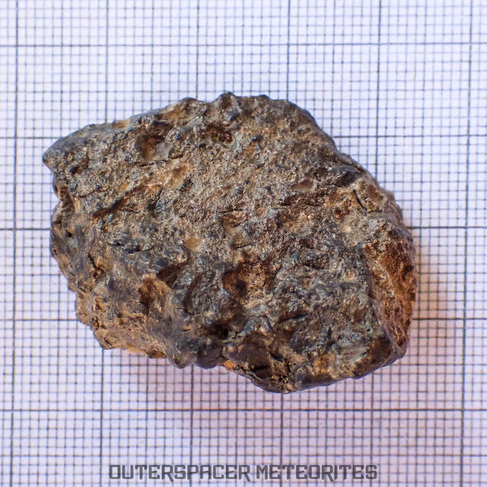 Bechar 003 - Lunar Feldspathic Breccia - End Cut - 26.22g - Algeria