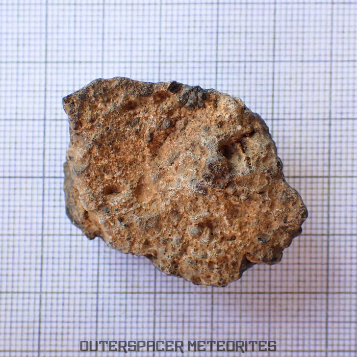 Bechar 003 - Lunar Feldspathic Breccia - End Cut - 27.12g - Algeria