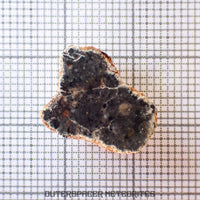 Bechar 003 - Lunar Feldspathic Breccia - End Cut - 1.09g - Algeria