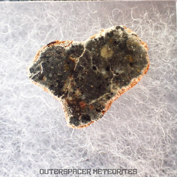 Bechar 003 - Lunar Feldspathic Breccia - End Cut - 1.09g - Algeria