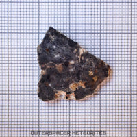 Bechar 003 - Brecha feldespática lunar - Lámina - 1.51g - Argelia