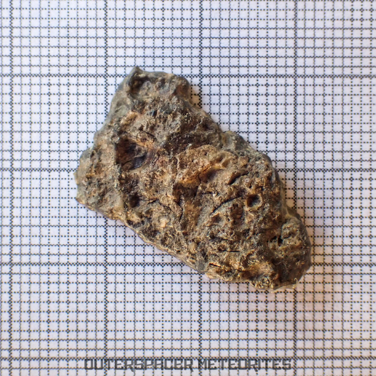 Bechar 003 - Lunar Feldspathic Breccia - End Cut - 2.6g - Algeria