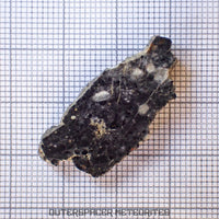 Bechar 003 - Lunar Feldspathic Breccia - End Cut - 2.67g - Algeria