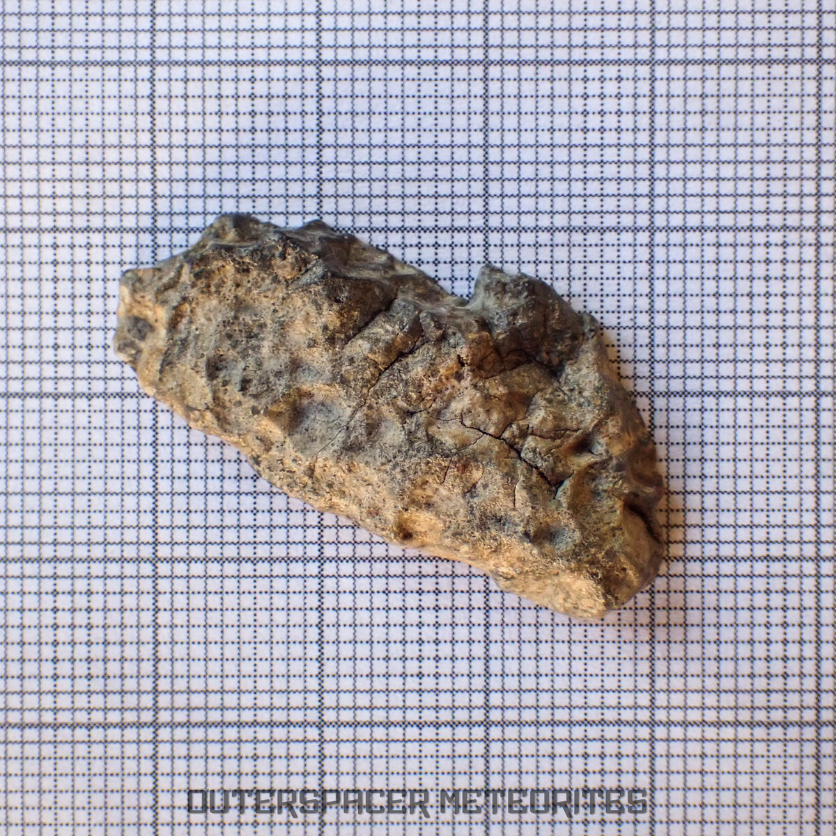 Bechar 003 - Lunar Feldspathic Breccia - End Cut - 4.55g - Algeria