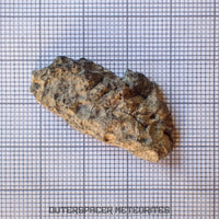 Bechar 003 - Lunar Feldspathic Breccia - End Cut - 4.55g - Algeria