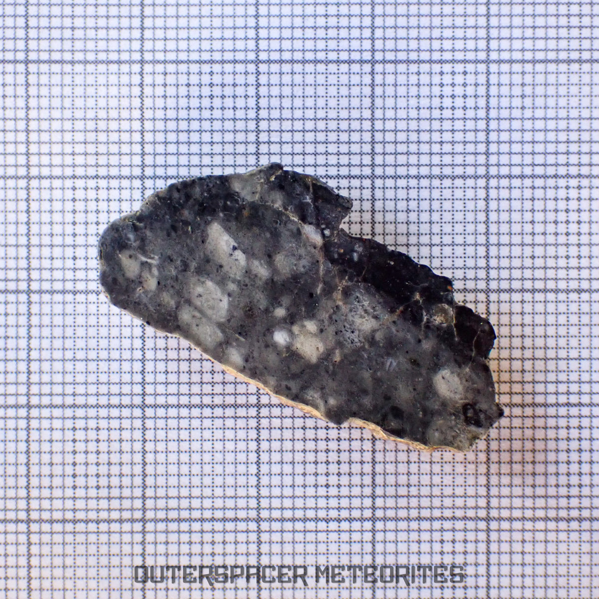 Bechar 003 - Lunar Feldspathic Breccia - End Cut - 4.55g - Algeria