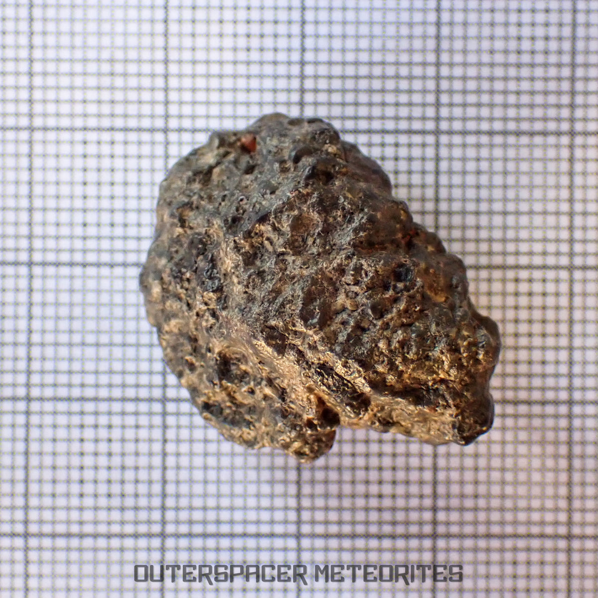 Bechar 003 - Lunar Feldspathic Breccia - End Cut - 8.38g - Algeria