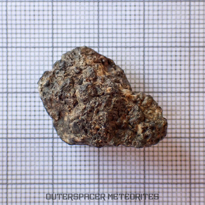 Bechar 003 - Lunar Feldspathic Breccia - End Cut - 6.9g - Algeria