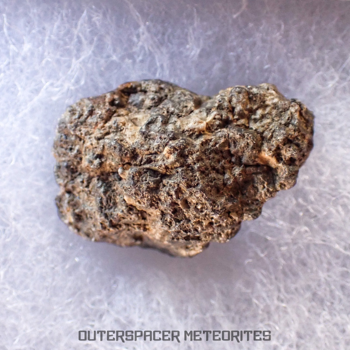 Bechar 003 - Lunar Feldspathic Breccia - End Cut - 6.9g - Algeria