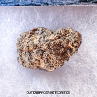 Bechar 003 - Lunar Feldspathic Breccia - End Cut - 8.38g - Algeria