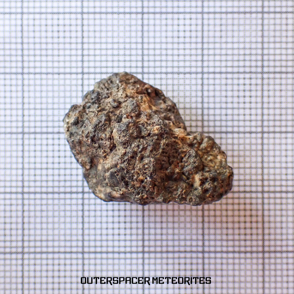 Bechar 003 - Lunar Feldspathic Breccia - End Cut - 8.38g - Algeria