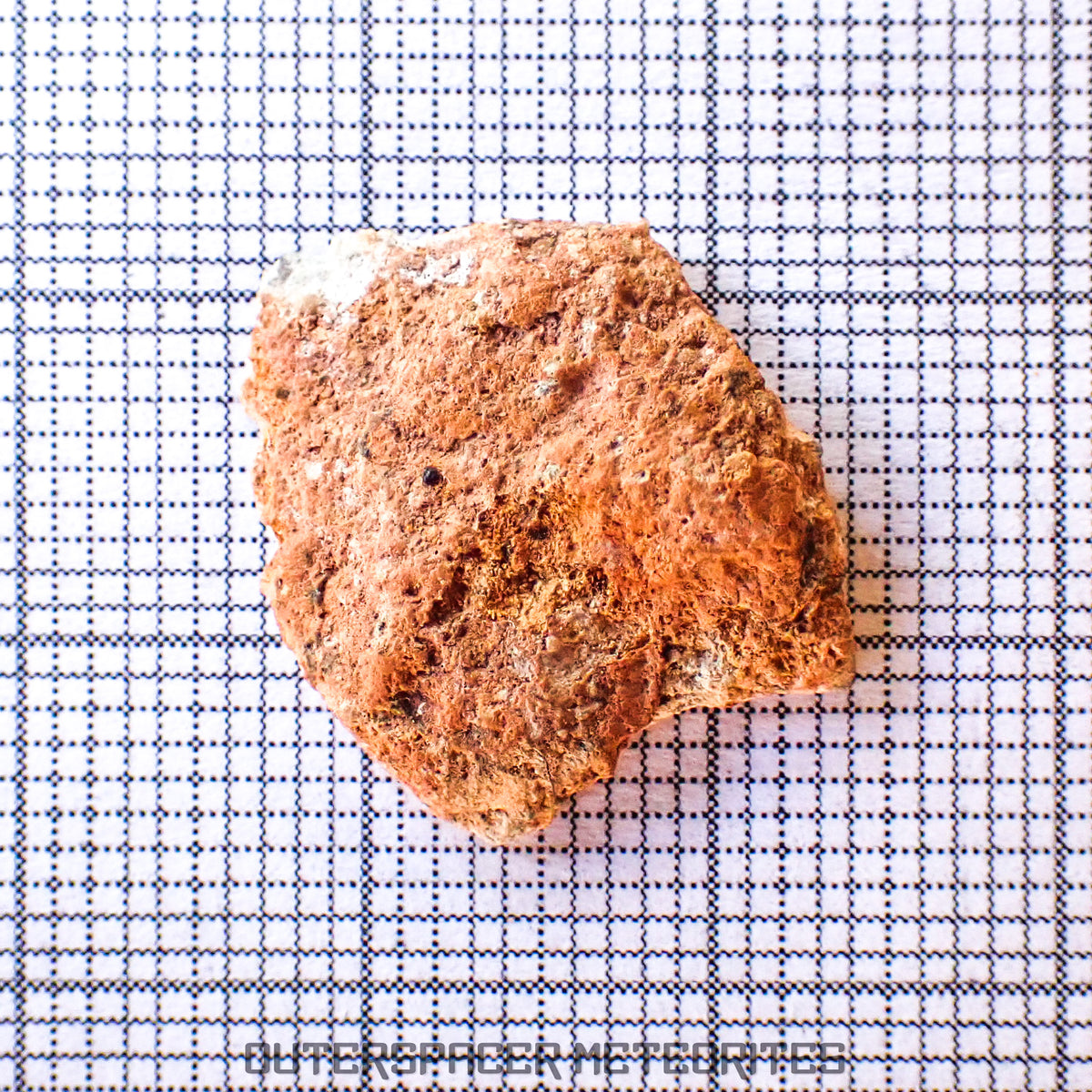 Béchar 003 - Brèche feldspathique lunaire - Tranche terminale - 1,29 g - Algérie