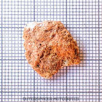Béchar 003 - Brèche feldspathique lunaire - Tranche terminale - 1,29 g - Algérie