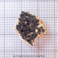 Béchar 003 - Brèche feldspathique lunaire - Tranche terminale - 1,29 g - Algérie