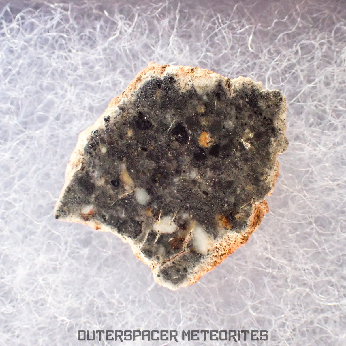 Béchar 003 - Brèche feldspathique lunaire - Tranche terminale - 1,29 g - Algérie