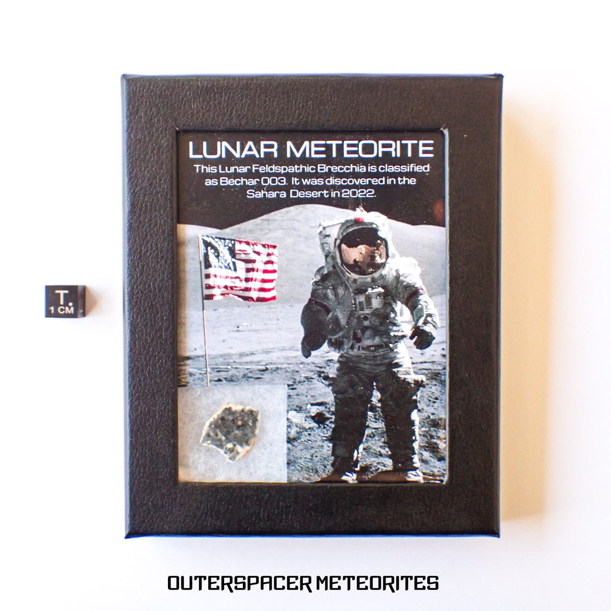 Béchar 003 - Brèche feldspathique lunaire - Tranche terminale - 1,29 g - Algérie