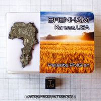 Brenham - Pallasite PMG-an - Tranche squelettique - 11.61g - USA (Kansas)
