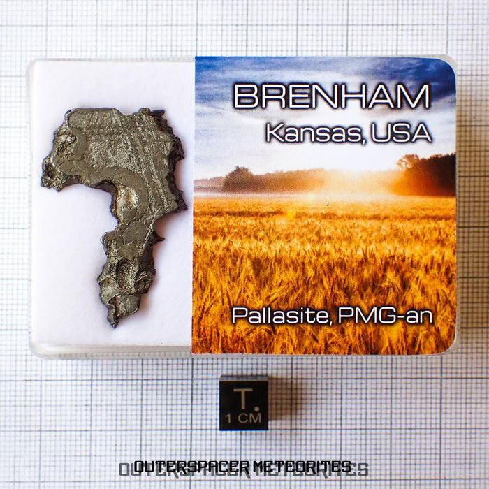 Brenham - Pallasite PMG-an - Skeletal Slice - 11.61g - USA (Kansas)