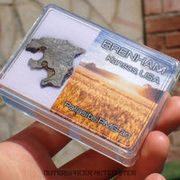 Brenham - Pallasite PMG-an - Skeletal Slice - 10.07g - USA (Kansas)