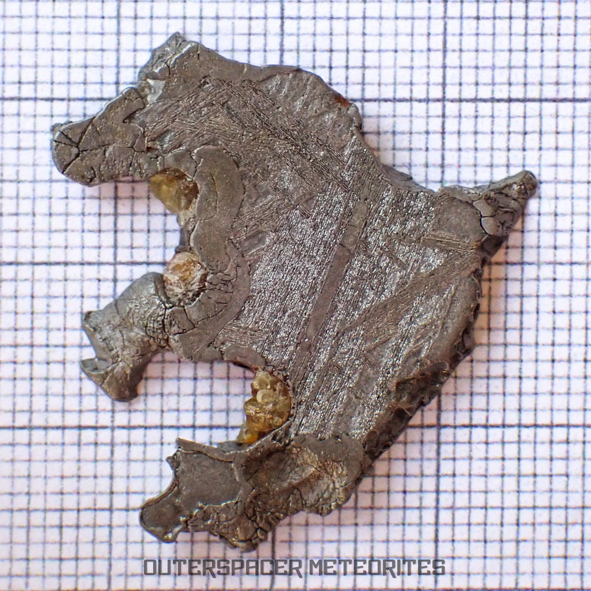 Brenham - Pallasite PMG-an - Skeletal Slice - 10.07g - USA (Kansas)
